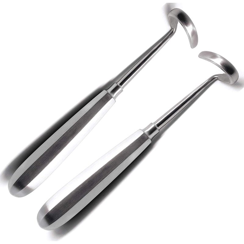 Rib Raspatories